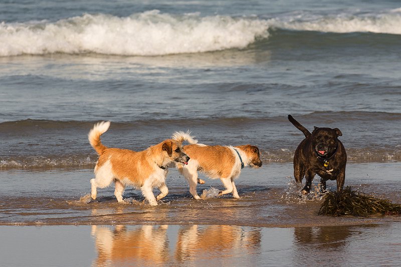 first taste of the sea.jpg